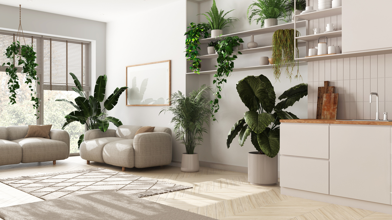 Home garden love. Kitchen and living room interior design in white tones. Parquet, sofa and many house plants. Urban jungle, indoor biophilia idea